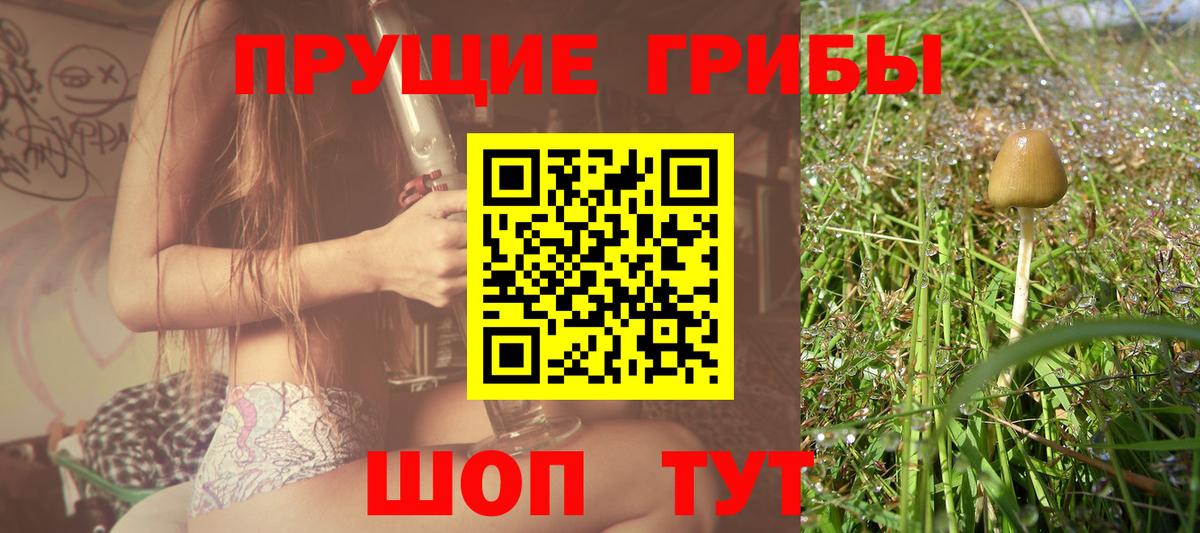Псилоцибиновые грибы мухоморы Верхняя Пышма